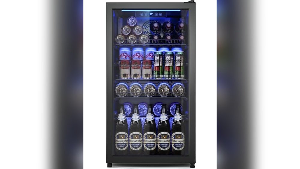 Best Mini Fridge for Wine And Beer