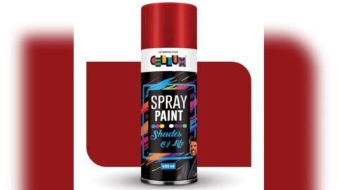 Best Paint for Wine Cellar
