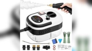 Best Portable Steamer for Auto Detailing