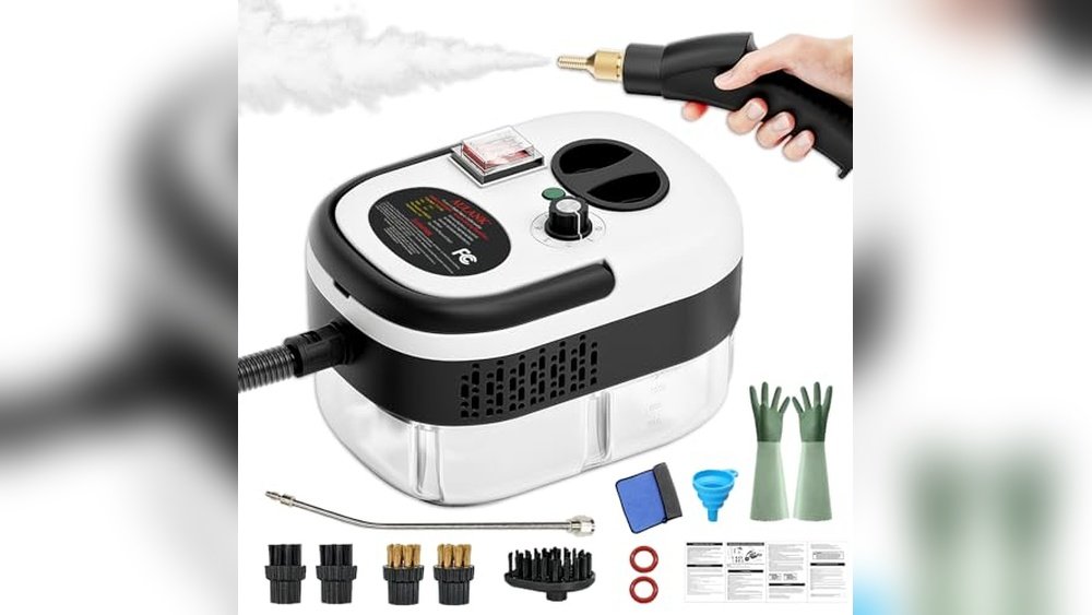 Best Portable Steamer for Auto Detailing