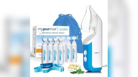 Best Portable Steamer for Singers