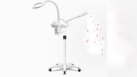 Best Professional Facial Steamer for Estheticians