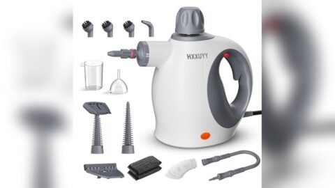 Best Small Steamer for Cleaning