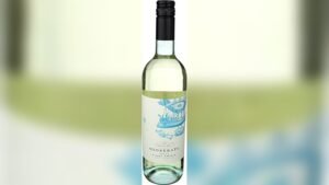 Best Soft Cooler for Wine Bottles