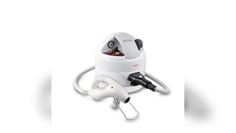 Best Steamer for Bed Bug Removal