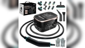 Best Steamer for Bed Bugs