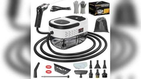 Best Steamer for Bed Bugs Uk