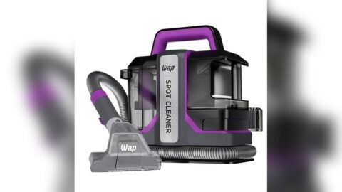 Best Steamer for Car Detailing Nearby