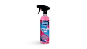 Best Steamer for Car Interior