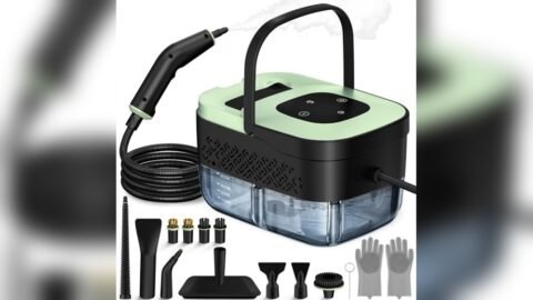 Best Steamer for Cleaning Bathrooms