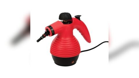 Best Steamer for Cleaning Cars