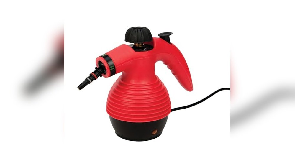 Best Steamer for Cleaning Cars
