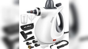Best Steamer for Cleaning House