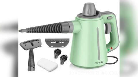 Best Steamer for Cleaning Shower