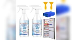 Best Steamer for Defrosting Freezer