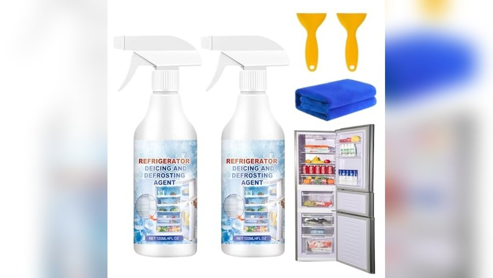 Best Steamer for Defrosting Freezer
