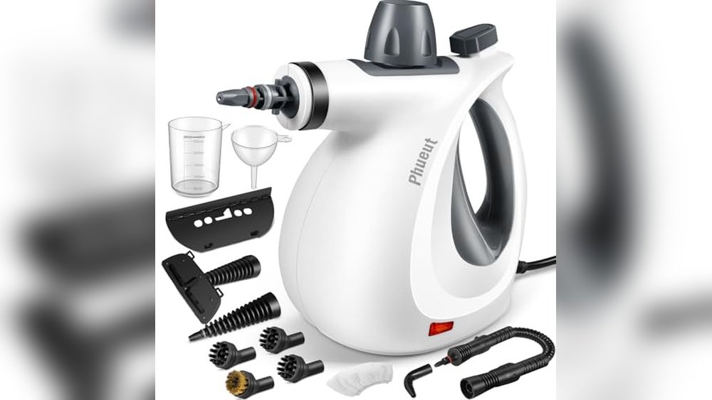 Best Steamer for Disinfecting