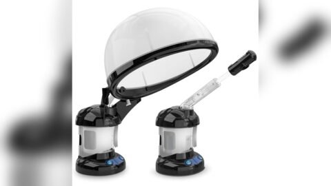 Best Steamer for Face And Hair