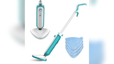 Best Steamer for Floors And Carpet