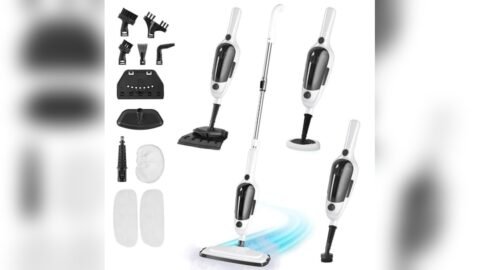 Best Steamer for Floors And Furniture