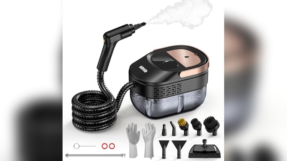 Best Steamer for House Cleaning