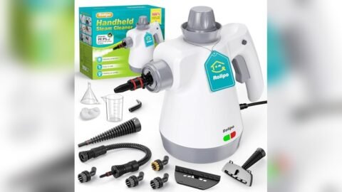 Best Steamer for Killing Bed Bugs Amazon