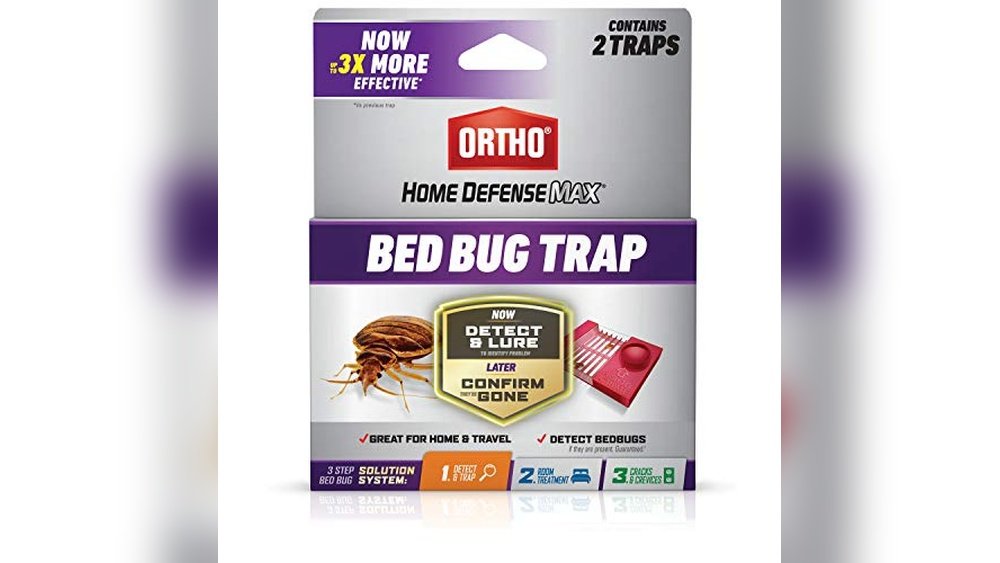 Best Steamer for Killing Bed Bugs