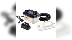 Best Steamer for Paint Removal