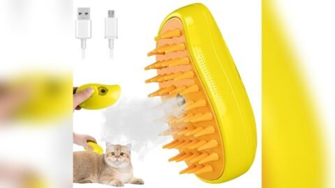 Best Steamer for Pet Stains
