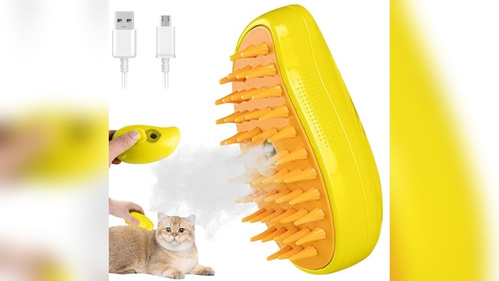 Best Steamer for Pet Stains