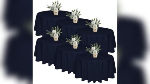 Best Steamer for Polyester Tablecloths