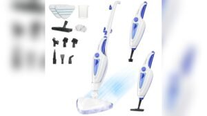 Best Steamer for Wood Floors