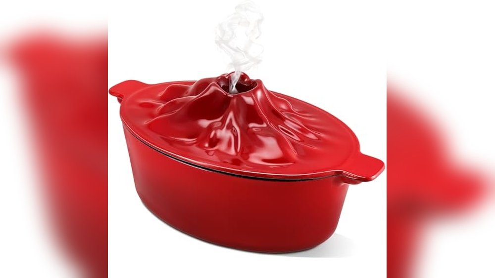 Best Steamer for Wood Stove