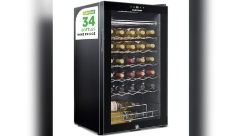 Best Temp for Single Zone Wine Fridge