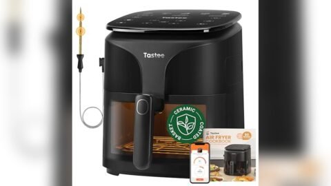 Best Temp for Steak in Air Fryer