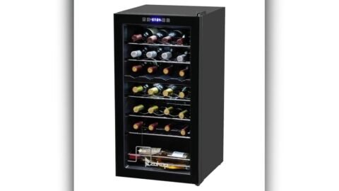 Best Temperature for Dual Zone Wine Fridge