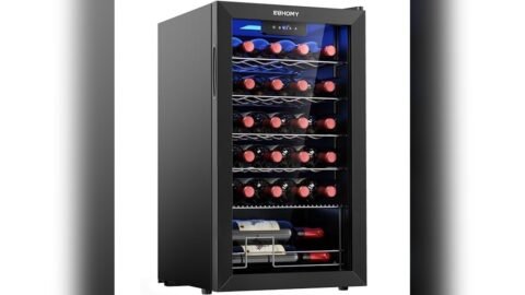 Best Temperature for Red Wine Cooler