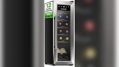 Best Temperature for White Wine Fridge