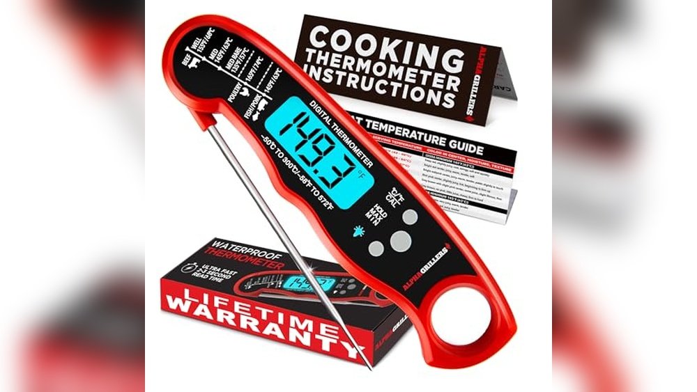 Best Thermometer for Air Fryer