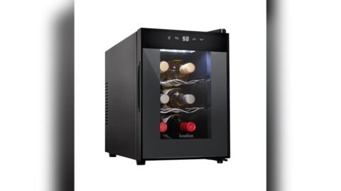 Best Wine Cooler for Pinot Noir Bottles