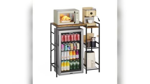 Best Wine Fridge for Apartment