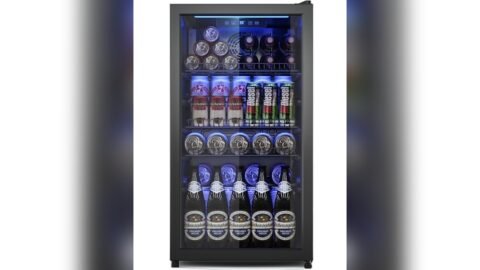Best Wine Fridge for Beer