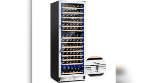 Best Wine Fridge for Burgundy Bottles