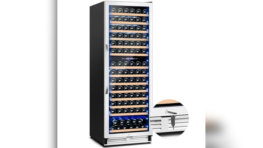 Best Wine Fridge for Burgundy Bottles