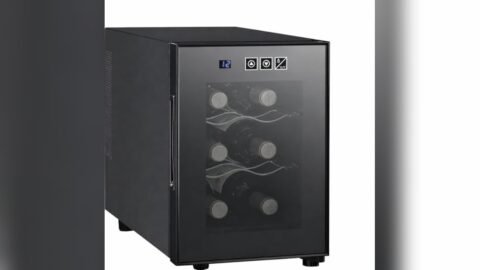 Best Wine Fridge for Champagne