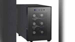 Best Wine Fridge for Champagne Bottles