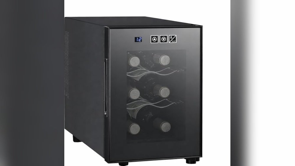 Best Wine Fridge for Champagne Bottles