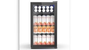 Best Wine Fridge for Long Term Storage