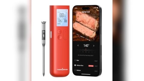 Best Wireless Deep Fryer Thermometer for Turkey