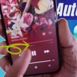 Apple Music Mixing Feature Not Working? Quick Fixes and Tips